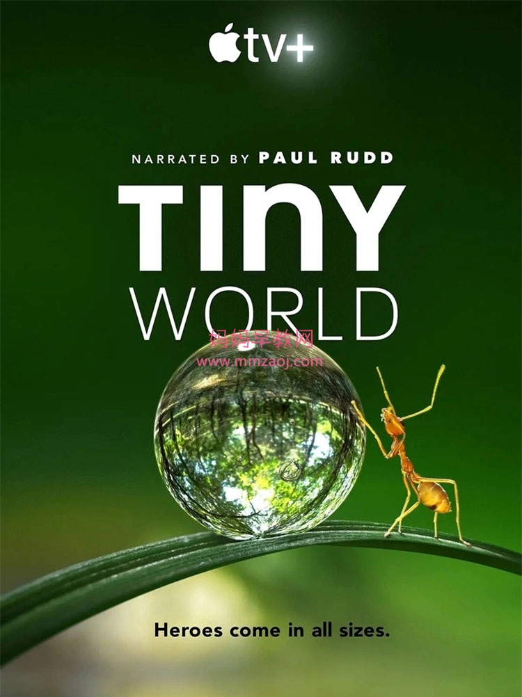 自然纪录片《 小小世界 Tiny World》全6集 英语中字 高清720PMP4/ 动画片 小小世界全集下载